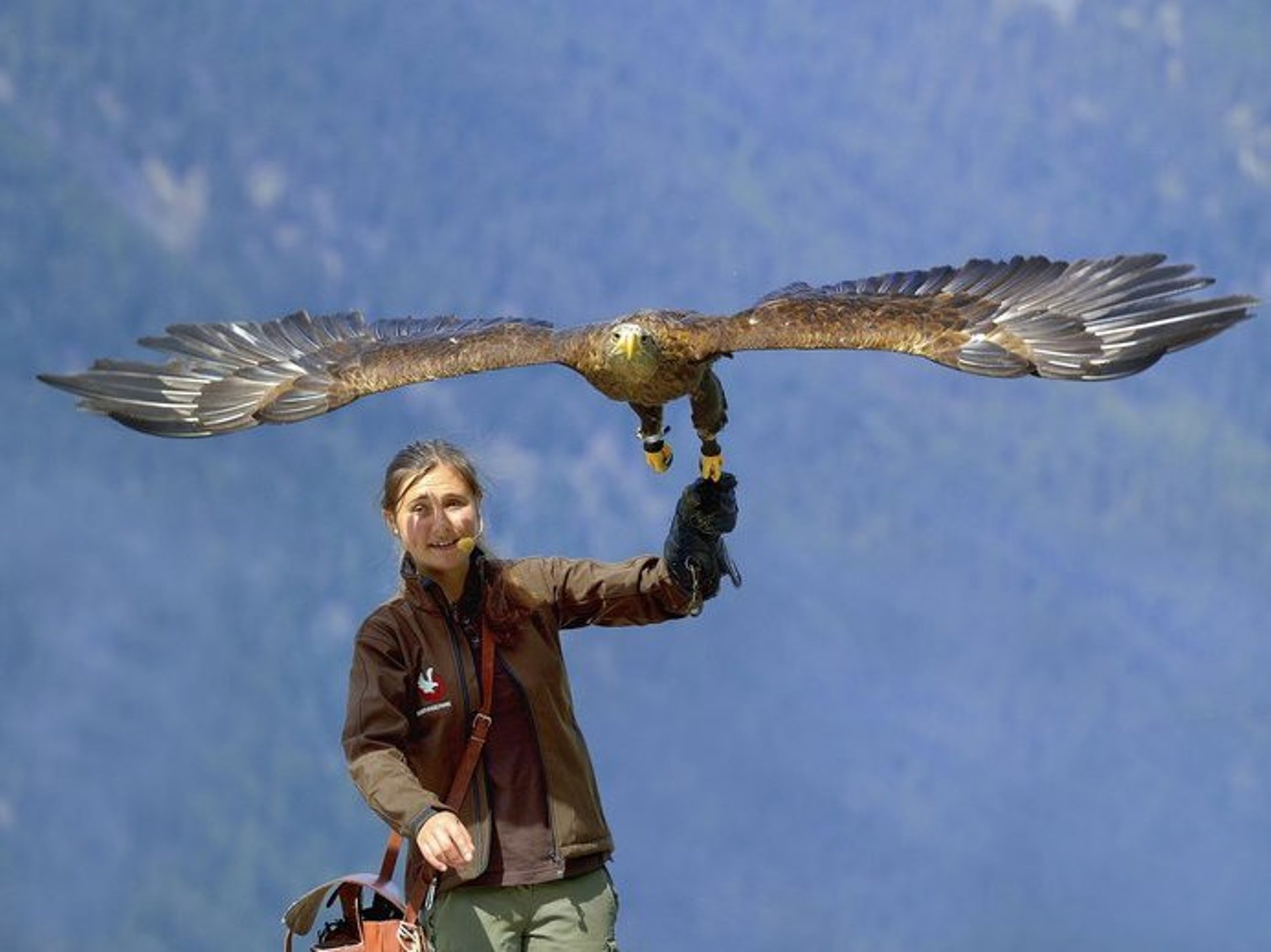 [Translate to Italienisch:] Greifvogelpark Umhausen