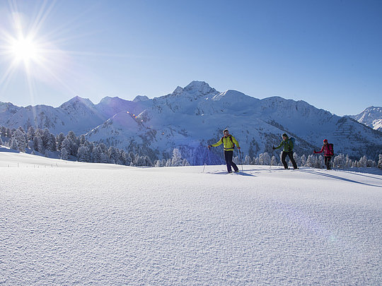 Winterwandern & Skitouren Ochsengarten