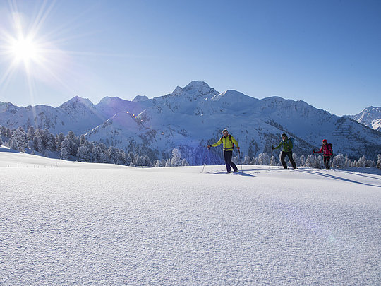 Escursioni invernali & escursioni sugli sci a Ochsengarten