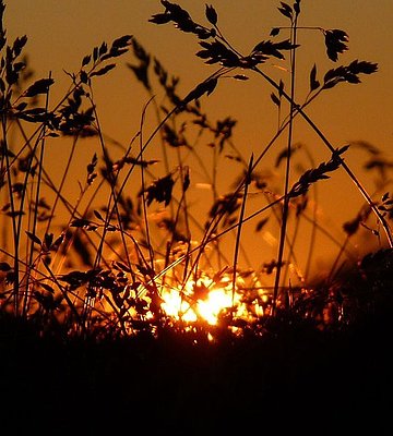 [Translate to Italienisch:] Sonnenaufgang in Oetz